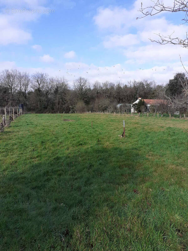 Terrain à TALMONT-SAINT-HILAIRE