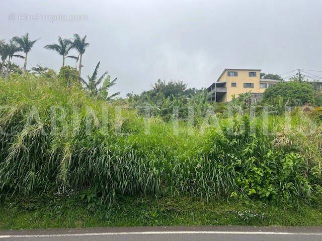 Terrain à LES AVIRONS