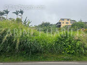 Terrain à LES AVIRONS