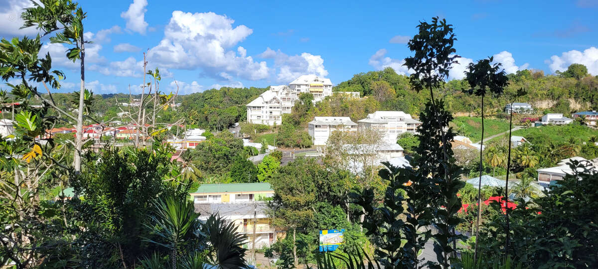 Terrain à LES ABYMES