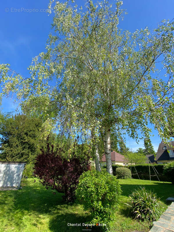 SAINT PREST - Maison traditionnelle, 5 chambres, très joli jardin arboré. - photo 8
