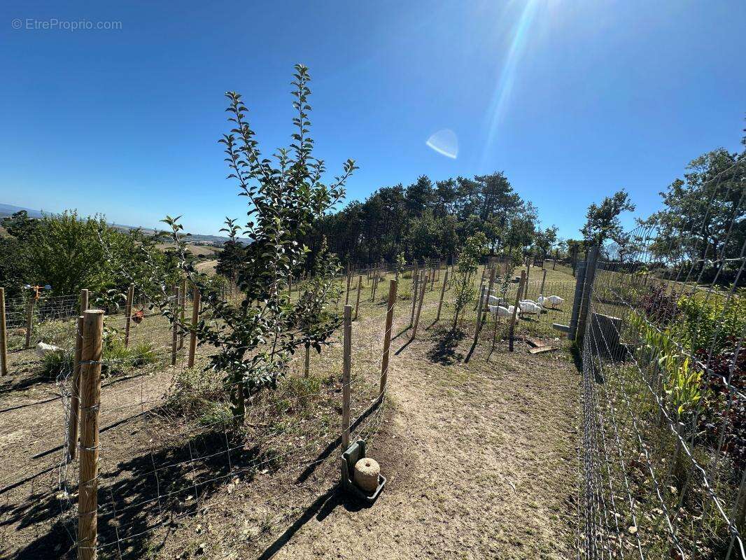 Mas/ferme rénové avec 6 chambres et 23 hectares de terrain - photo 32