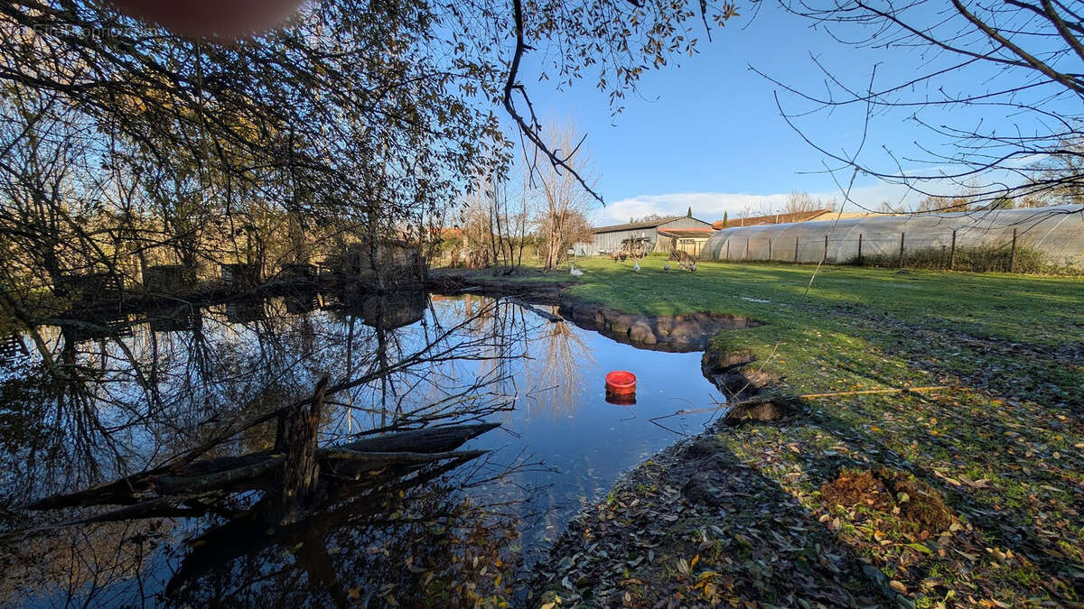 Maison à CARTELEGUE