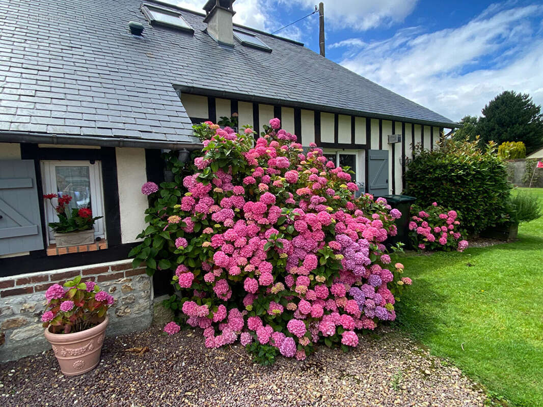Maison à PONT-L'EVEQUE