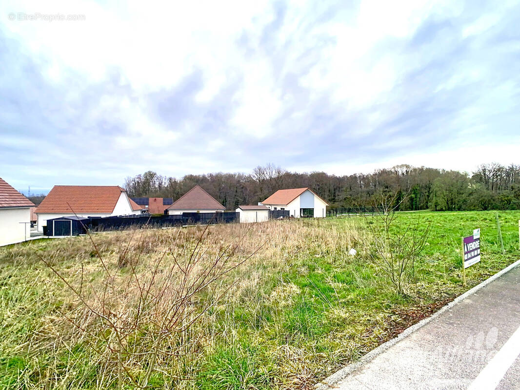 Terrain à FROIDEFONTAINE