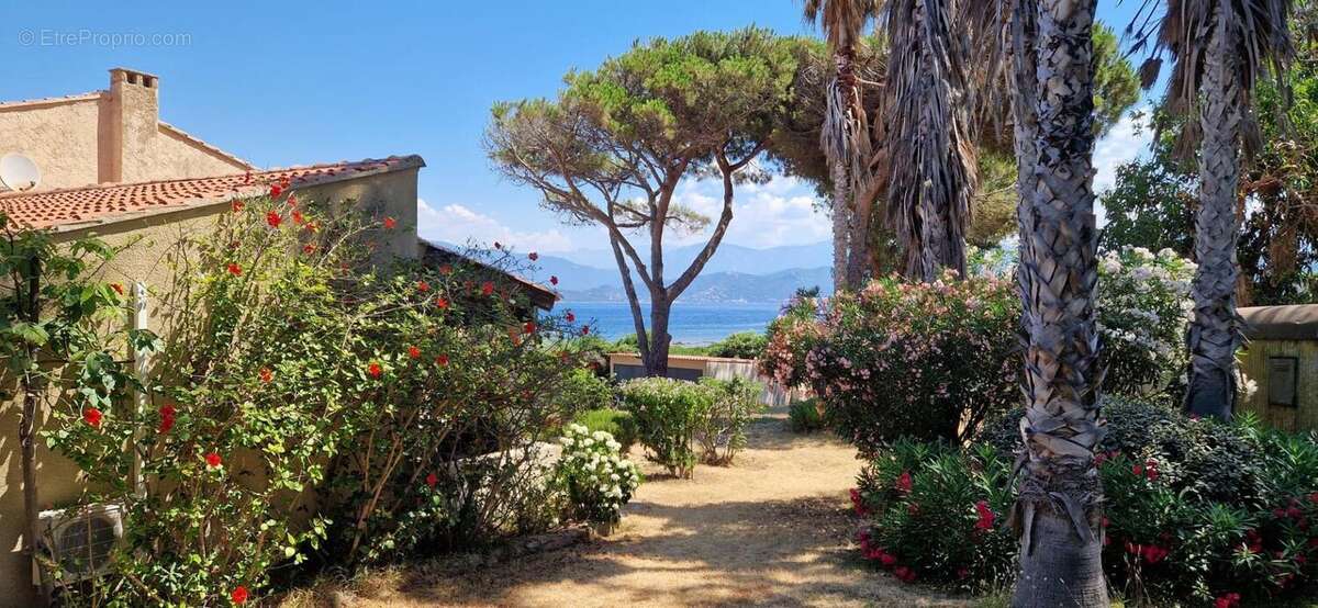 Photo 6 - Maison à AJACCIO