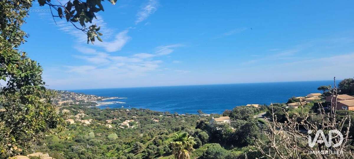 Photo 7 - Maison à SAINTE-MAXIME