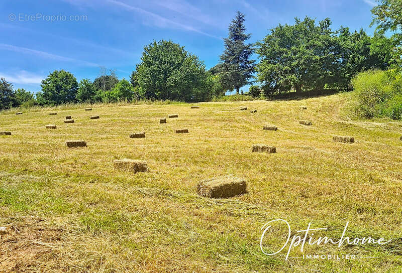 Terrain de 2 606 m² avec vue campagne à 10 min de Bon-Encontre - photo 4