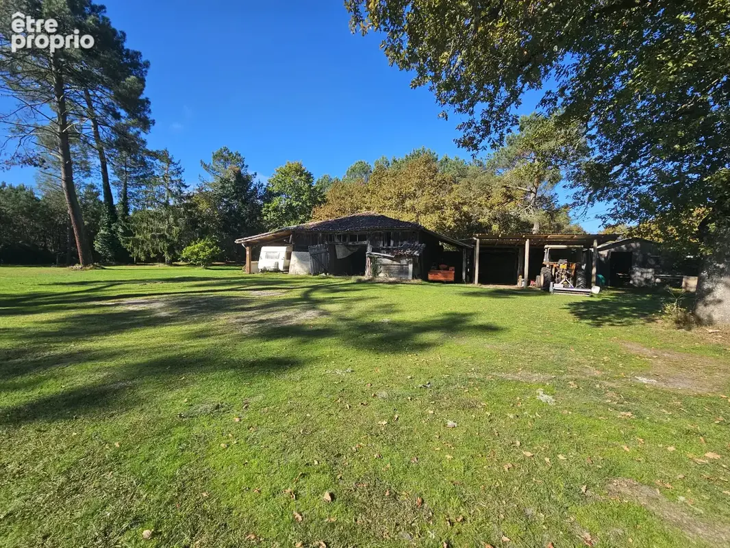 Bel ensemble landais sur 5 hectares 5 - photo 3