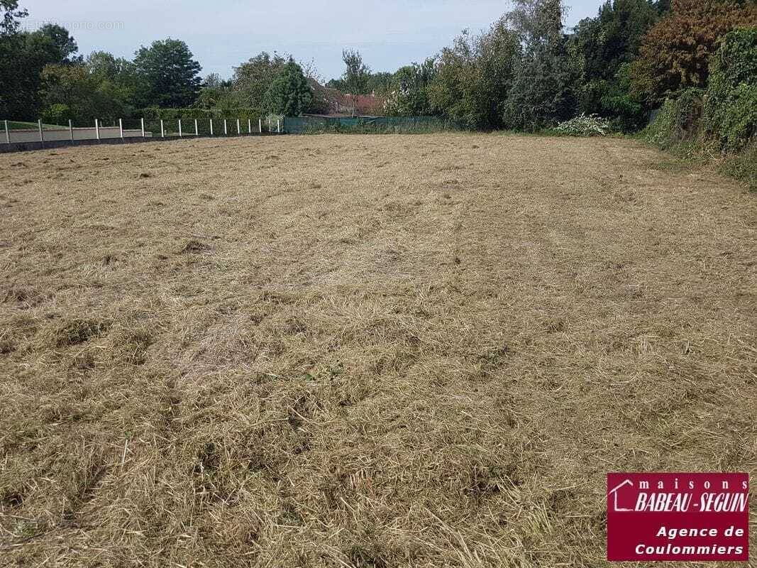 Terrain à SAINT-AUGUSTIN