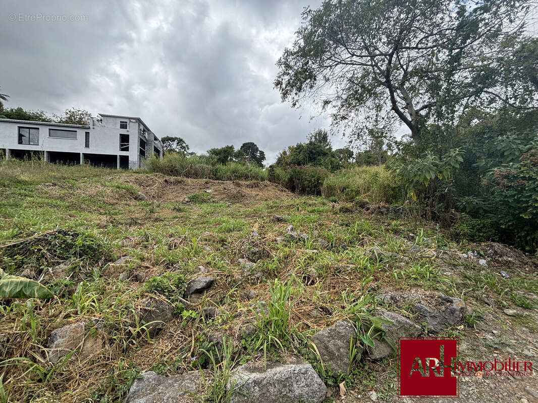 Terrain à LE TAMPON