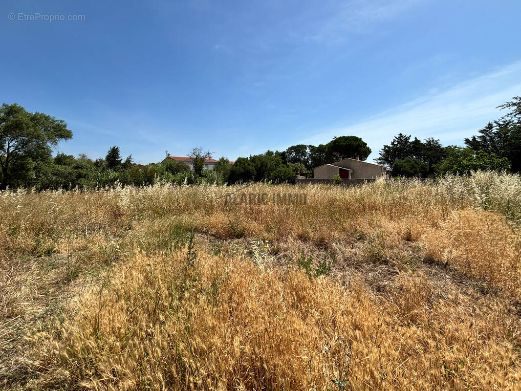 Terrain à LEZIGNAN-CORBIERES