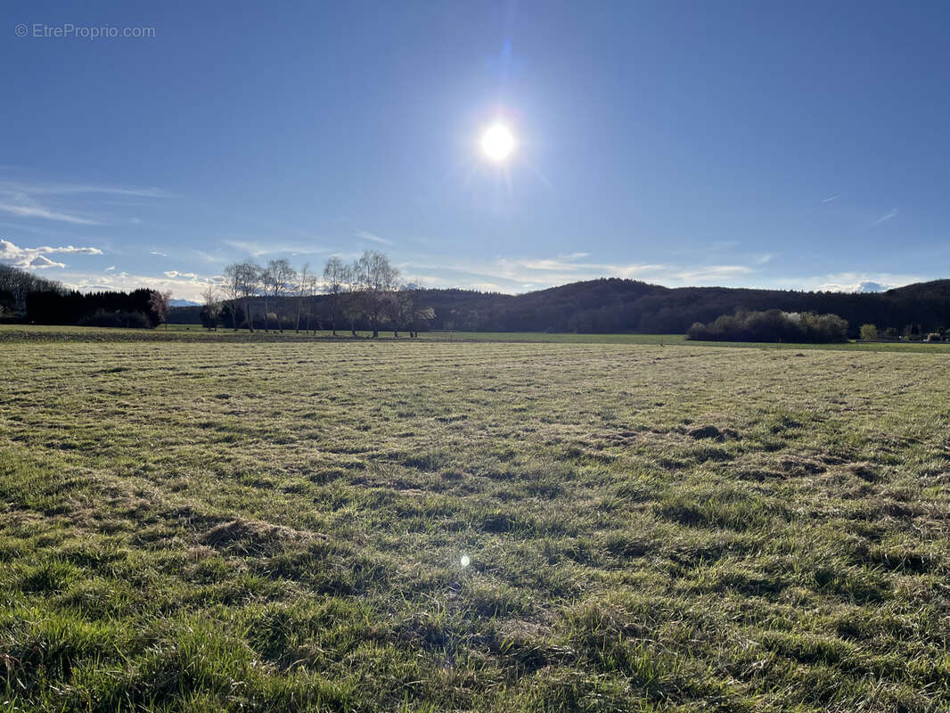 Terrain à OURSBELILLE