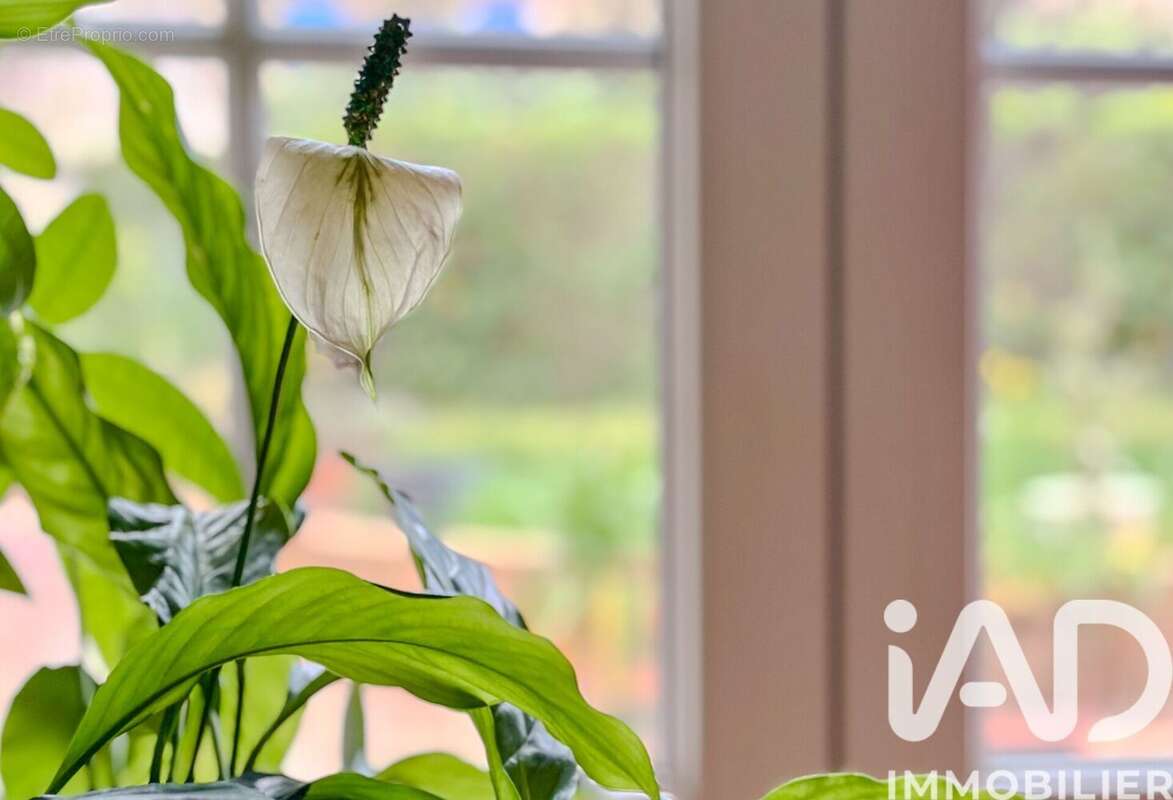 Photo 7 - Maison à TOULON