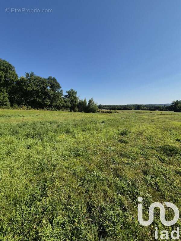 Photo 4 - Terrain à FERRIERES-EN-BRAY
