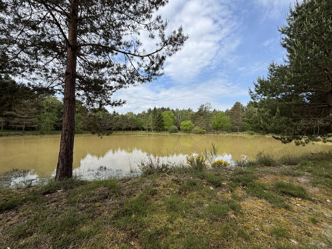 Maison à VIENNE-EN-VAL
