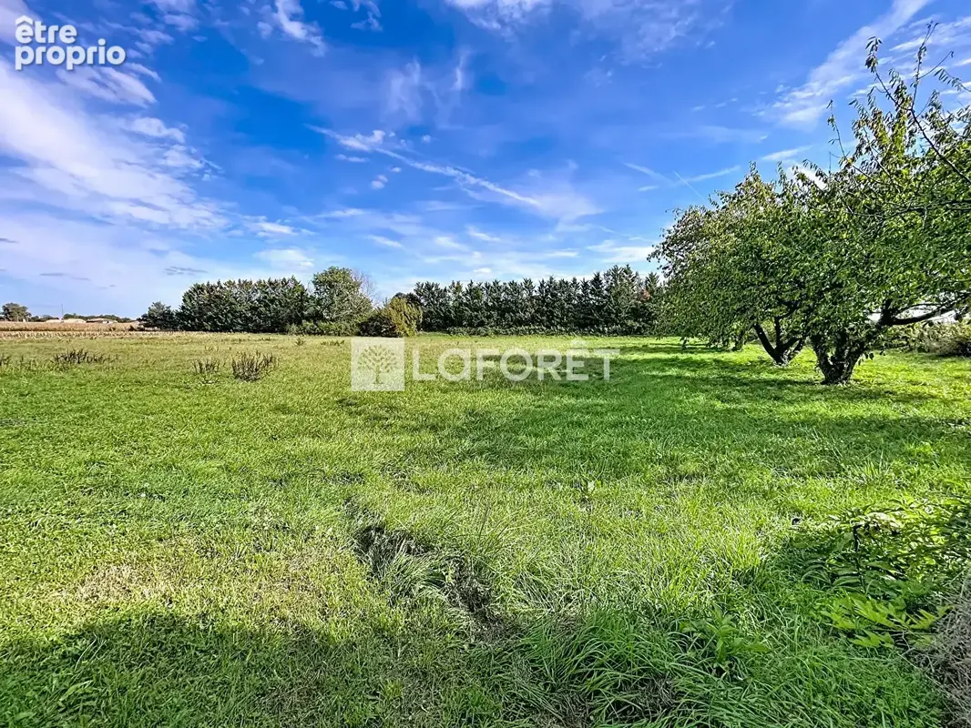 Ensemble immobilier - ferme + dépendances + maison de maître - 485 m2 - 14549 m2 terrain - photo 13