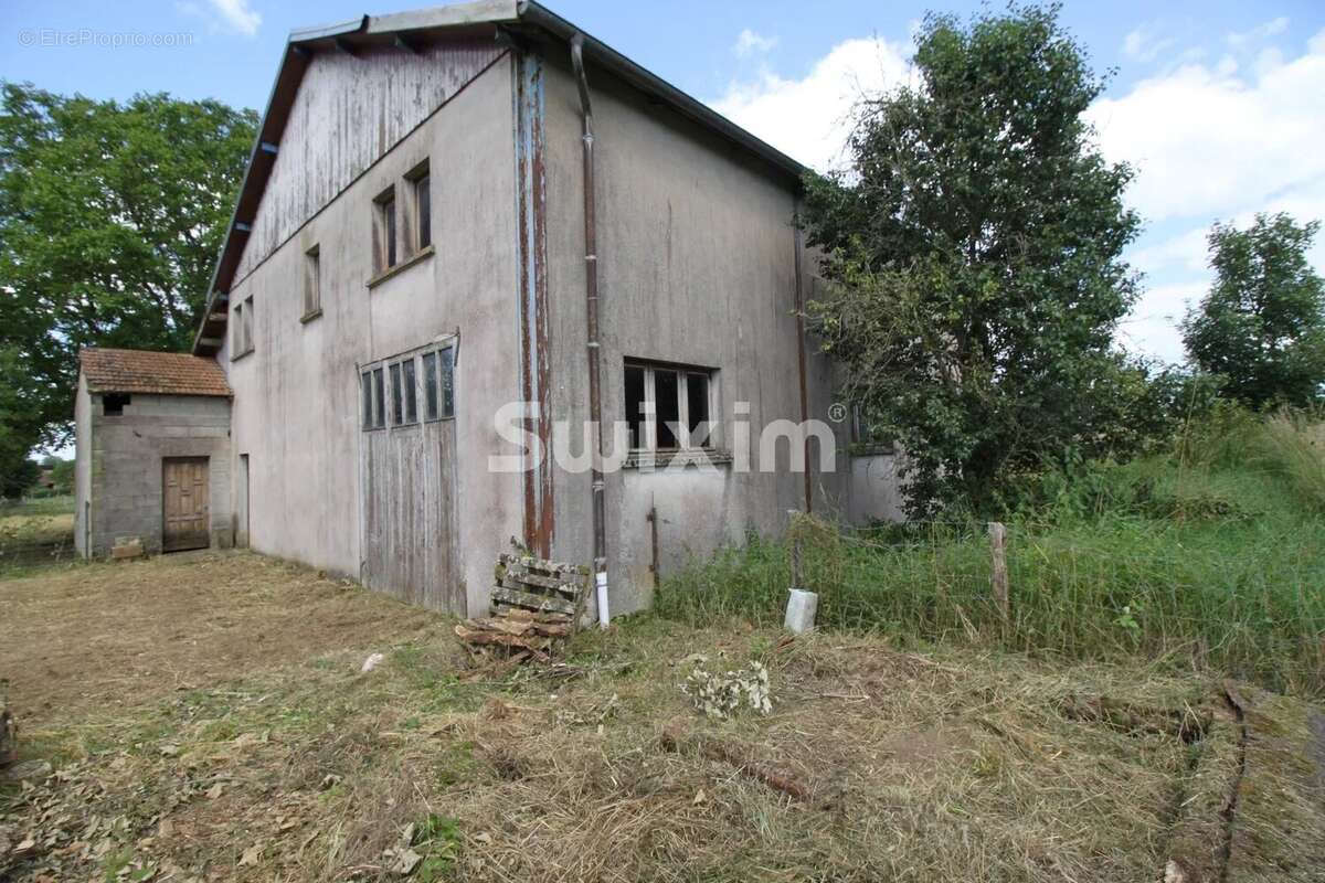 Commerce 195 m² à Blevaincourt  - photo 3