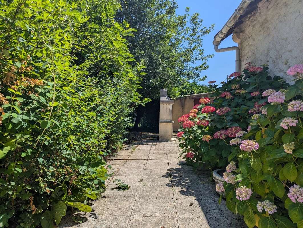 Maison à COULONGES