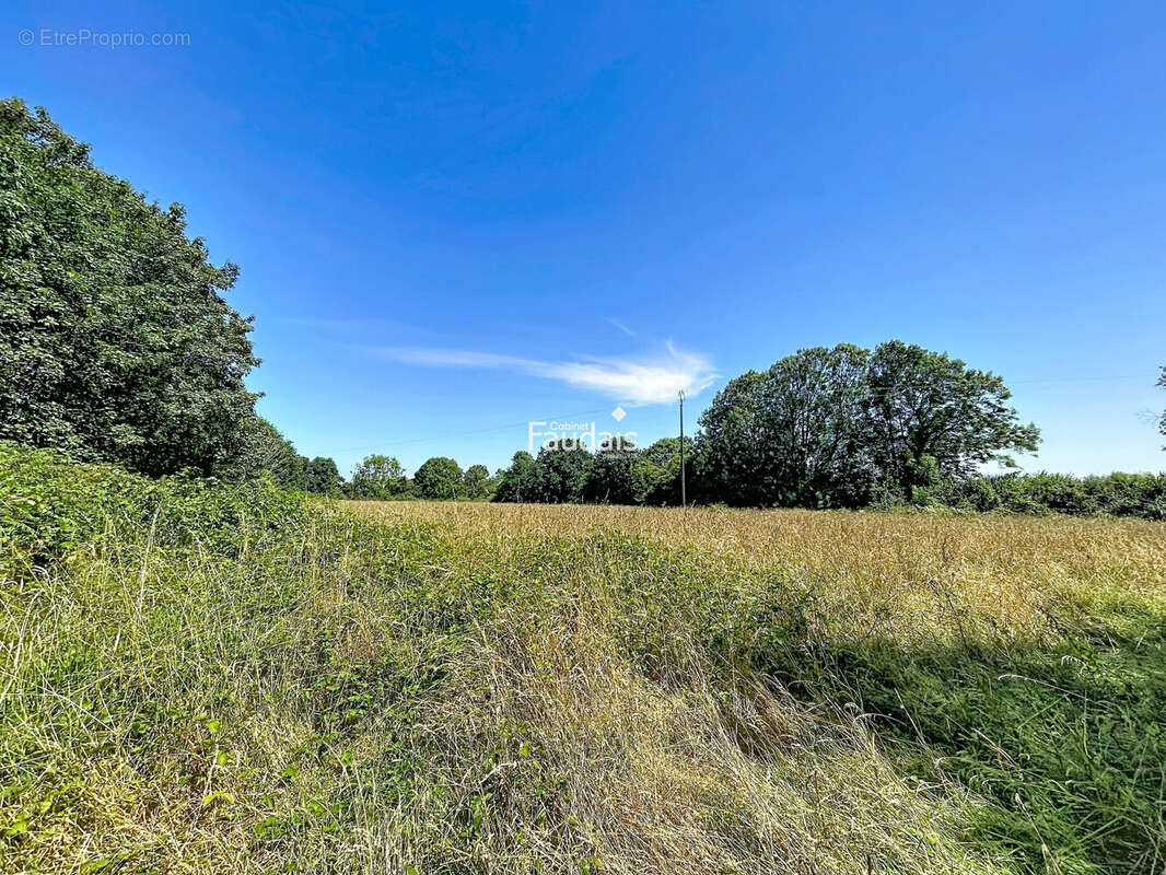 Maison 243 m² à Montpinchon  - photo 2