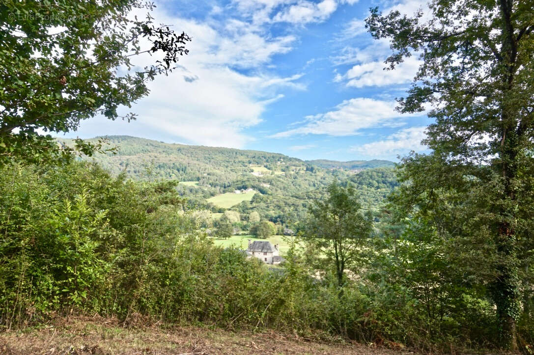 Terrain à SAINT-HILAIRE-PEYROUX