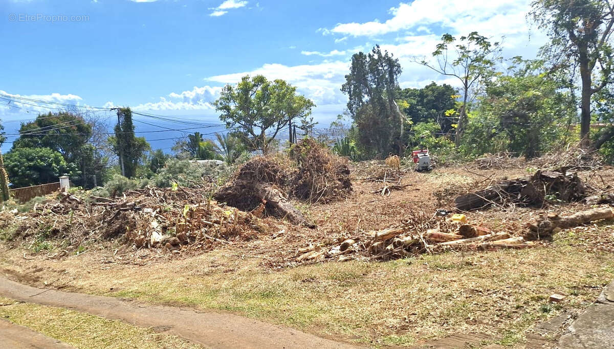 Terrain à SAINT-PAUL