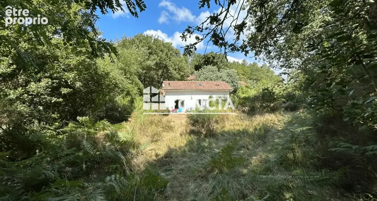 Villa T5 sur 1454m2 de terrain en lisière de forêt à 8 minutes de l'Océan - photo 2