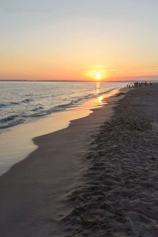 Commerce à LE GRAU-DU-ROI