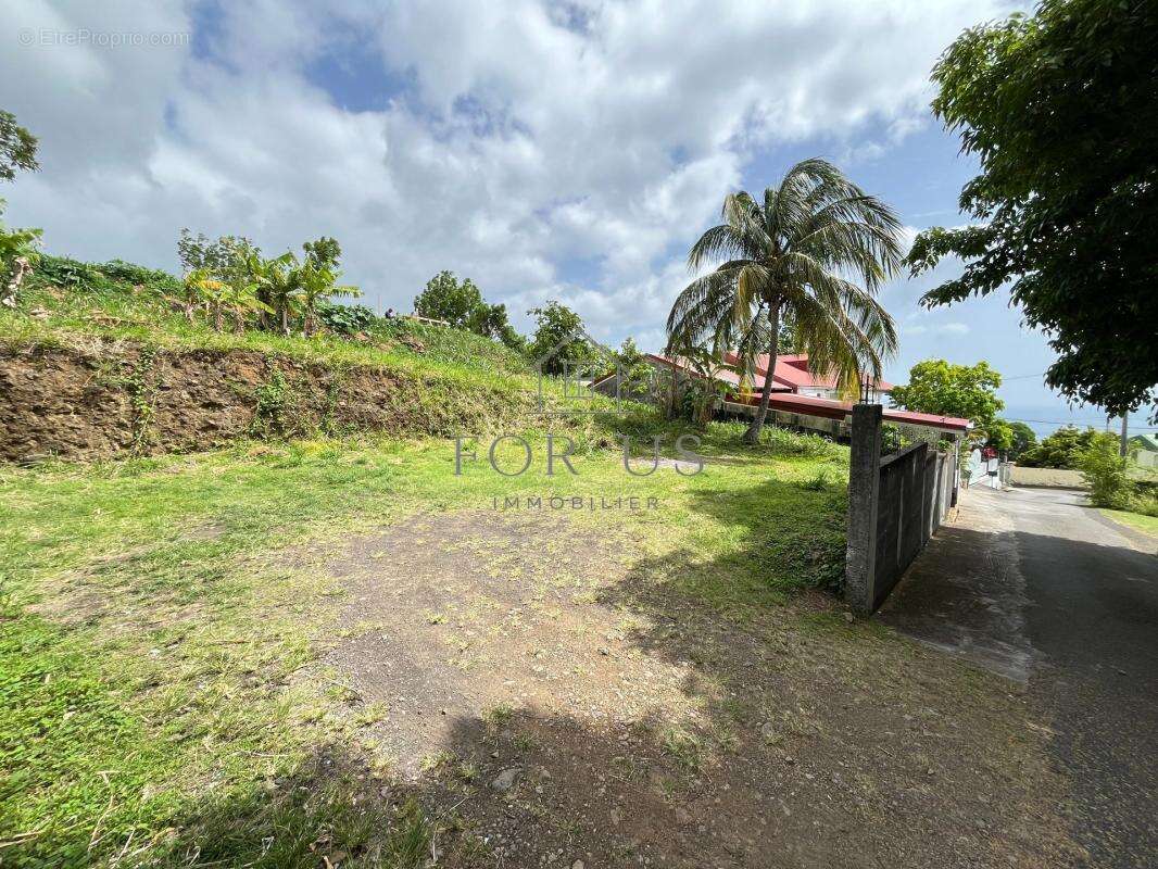 A VENDRED : Terrain 545m² GOURBEYRE (97113) - photo 3
