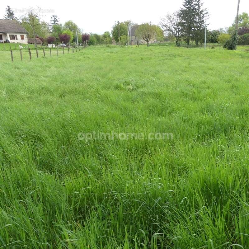 Terrain à PRECY-SOUS-THIL