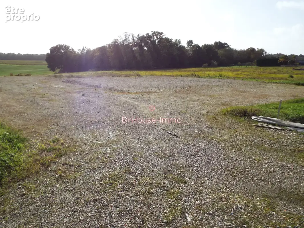 Terrain 2 998 m² à vendre à Gemozac (17260) - photo 17