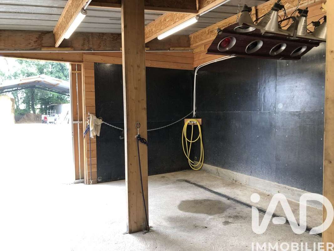 Maison 353 m² à Verrie  - photo 6