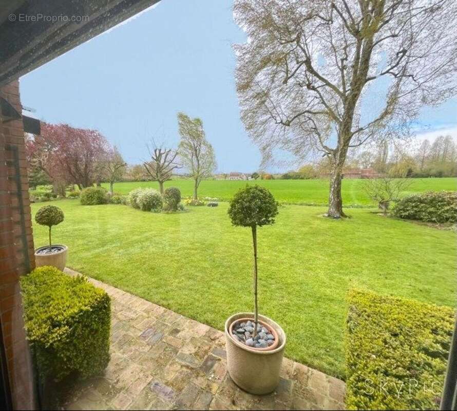 Photo 3 - Maison à MOUVAUX