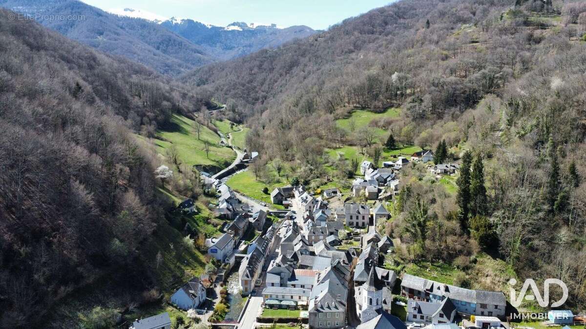 Photo 3 - Commerce à SAINT-LARY