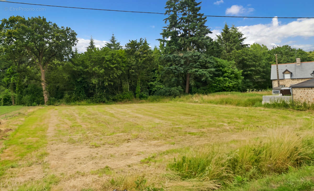 Terrain à CHAUVIGNE