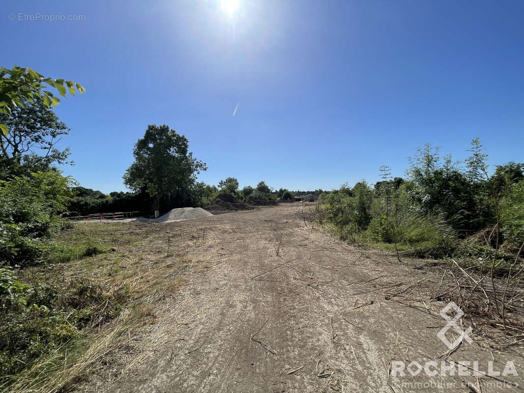 Terrain à SAINT-CREPIN