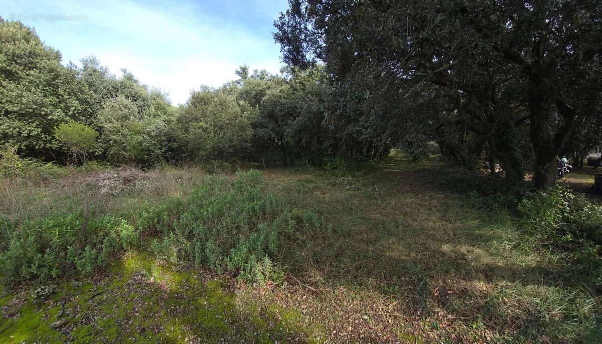 Photo Garrigue d\&#039;Uzès 4 - Terrain à UZES