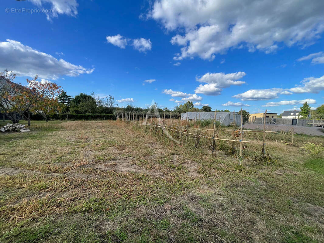 Maison à SAINT-PHILBERT-DU-PEUPLE