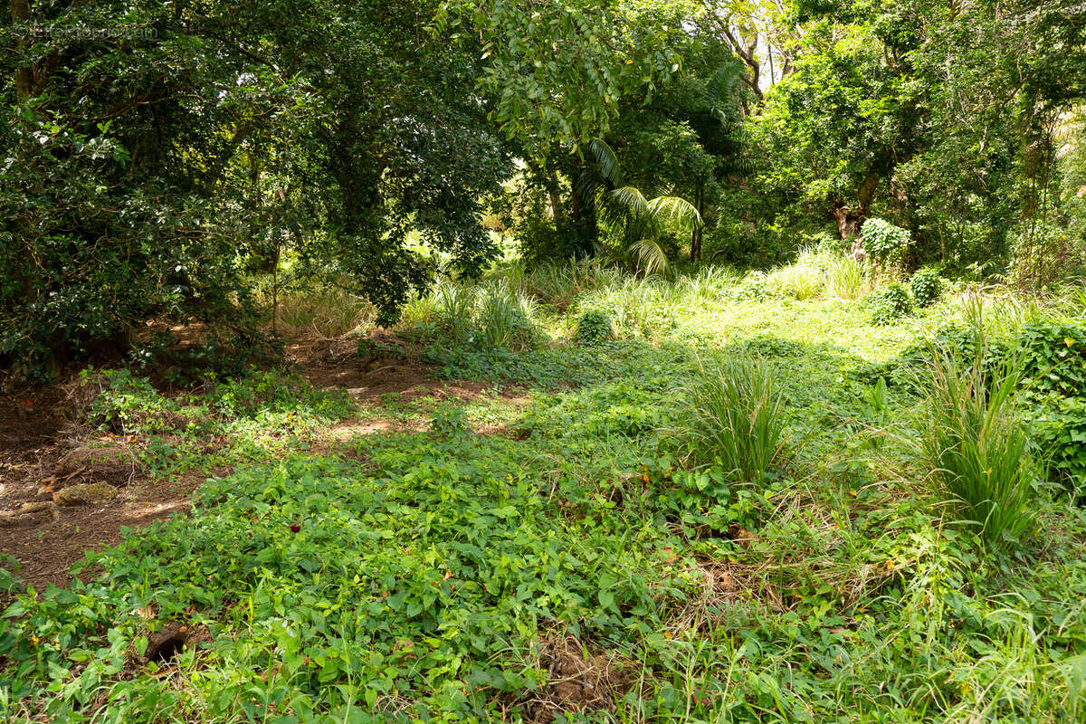 Terrain à POINTE-NOIRE