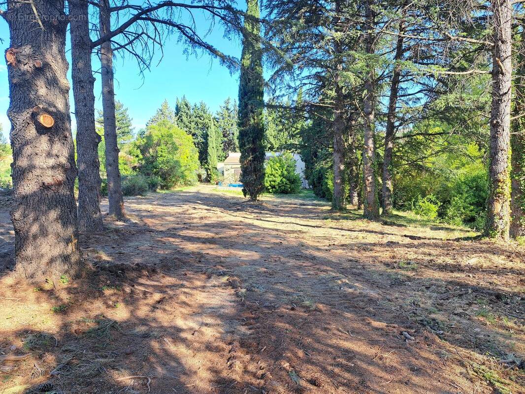 Photo 1 - Terrain à PELISSANNE