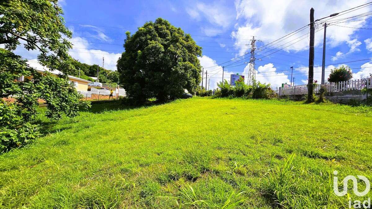 Photo 3 - Terrain à SCHOELCHER