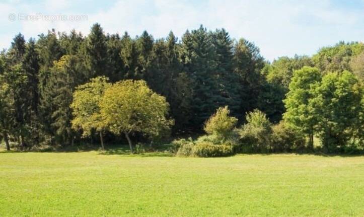 Terrain à MOYAUX