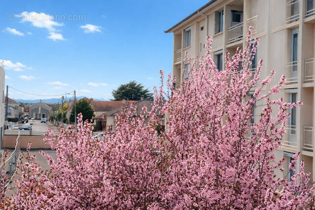 Appartement à RIORGES