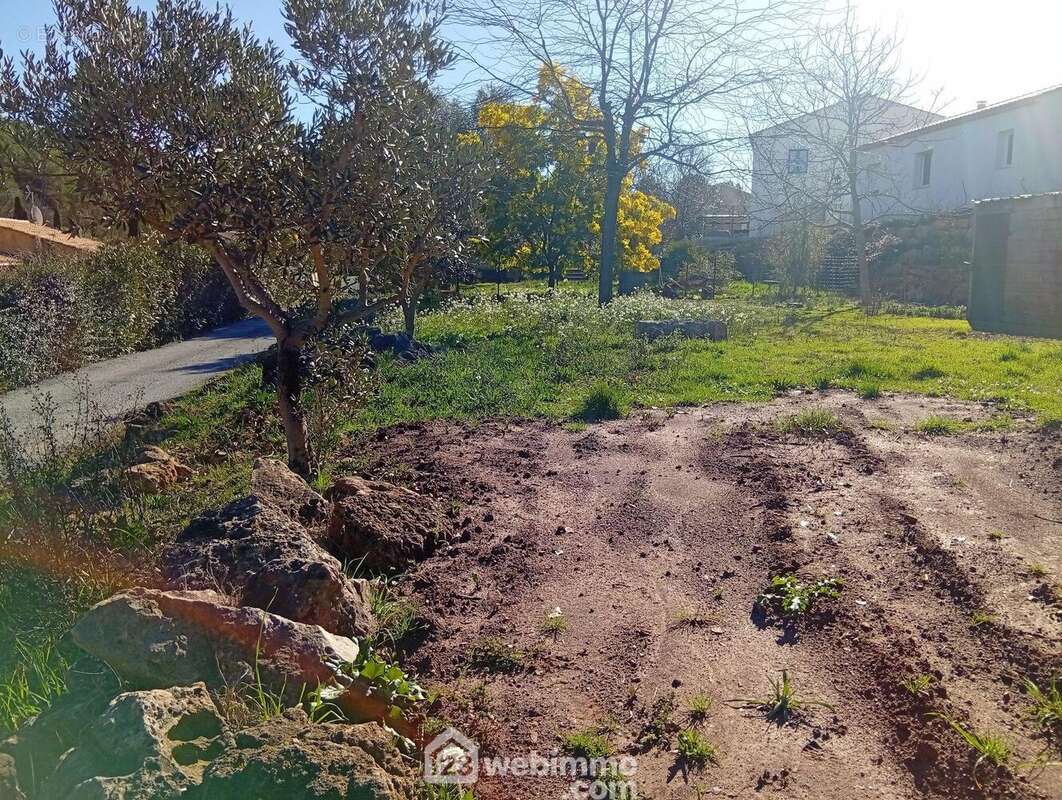 Terrain à LE THORONET