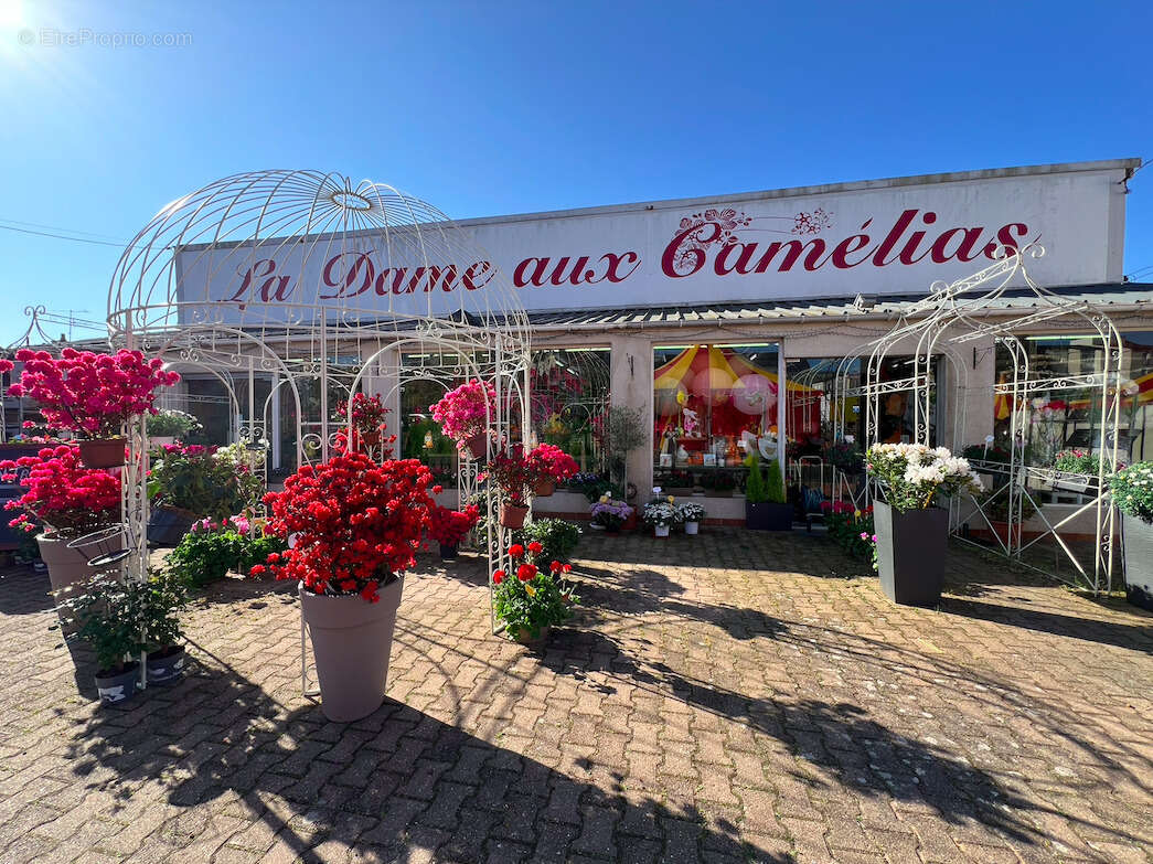 Fonds de commerce Fleuriste Vierzon centre-ville - photo 8