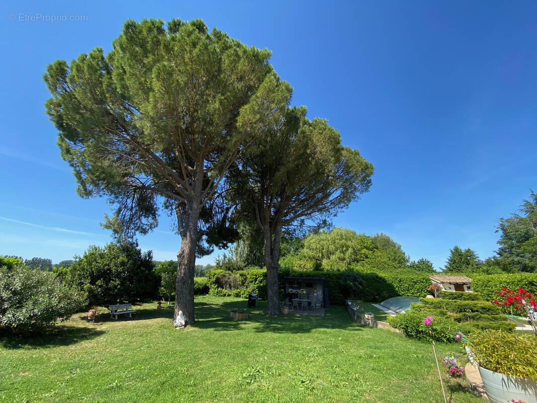 Maison à CADEROUSSE