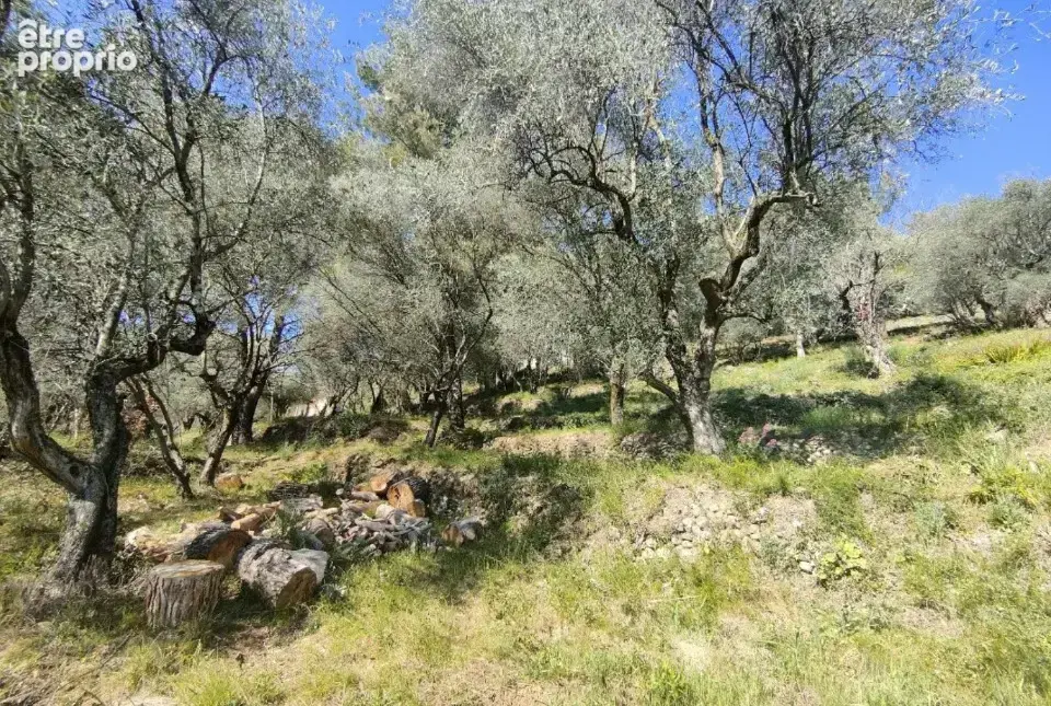 Photo Terrain à Saint-Martin-Du-Var au prix de 210 000€