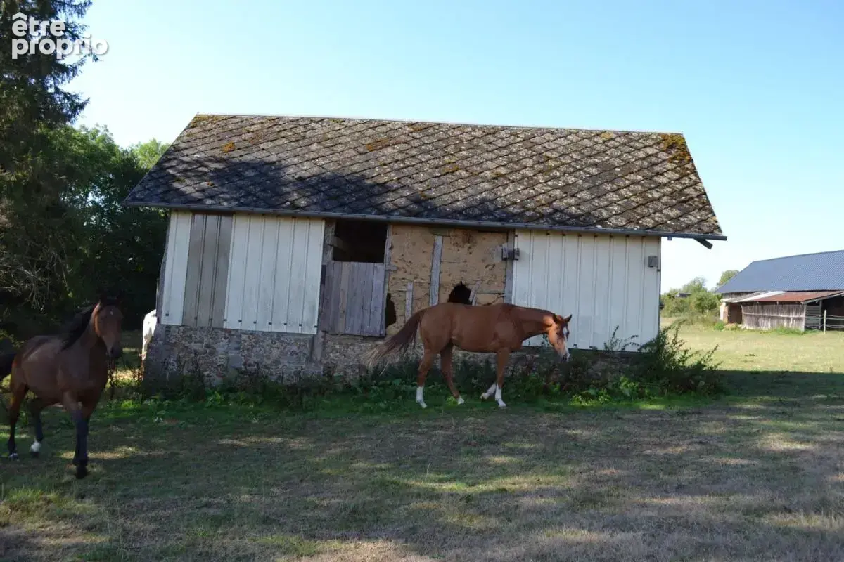 Maison de campagne sur 3ha à bâtir (27) - photo 37