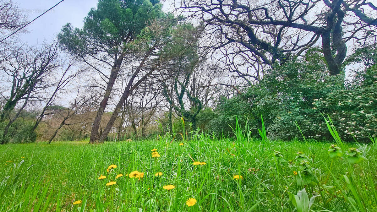 Terrain à LA BRUGUIERE