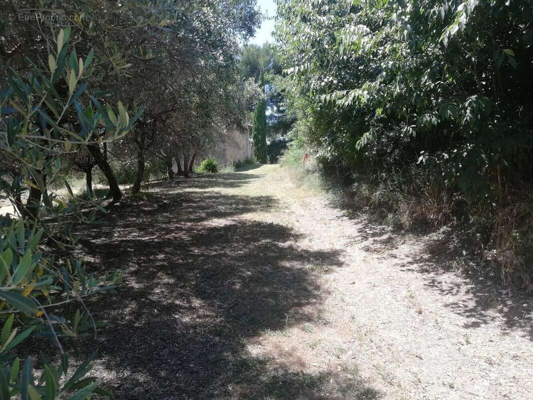 Terrain de 9 000 m² à aubagne - 950 000 € - photo 2